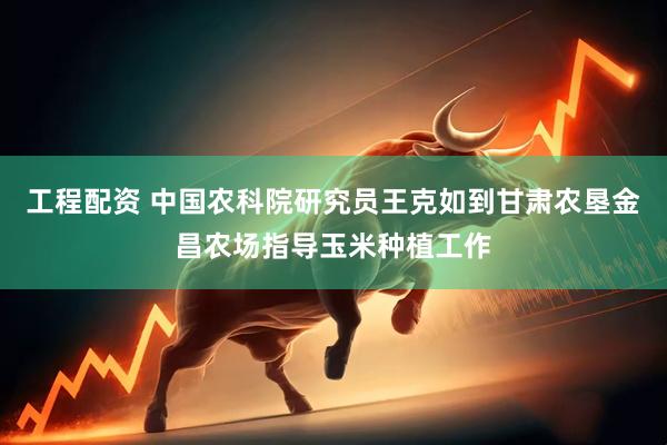 工程配资 中国农科院研究员王克如到甘肃农垦金昌农场指导玉米种植工作